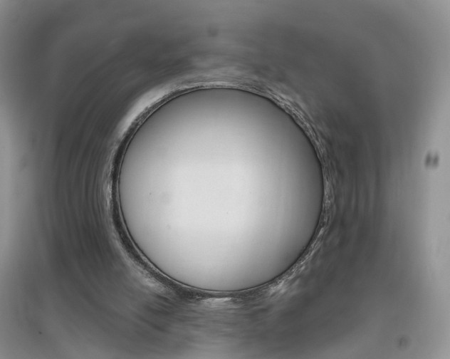 X0000096950054200802080929
