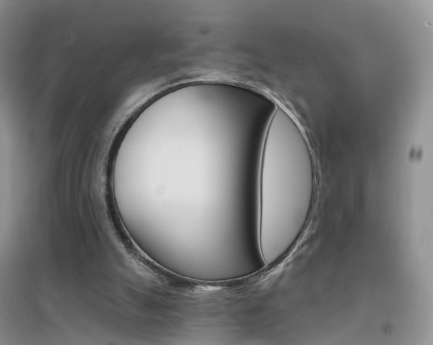 X0000096950055200802080929