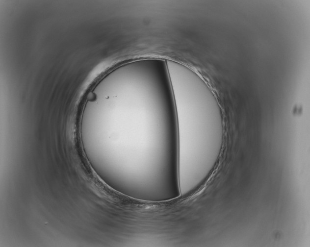 X0000096950056200802080930