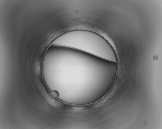 X0000096950057200802080930