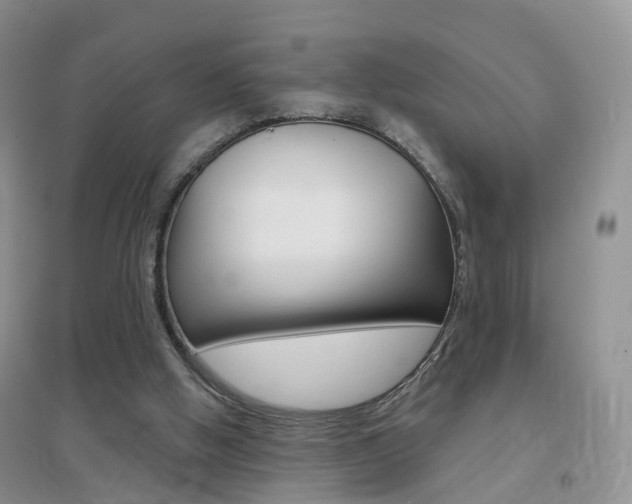 X0000096950058200802080930