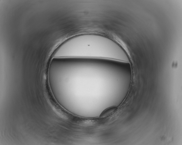 X0000096950059200802080930