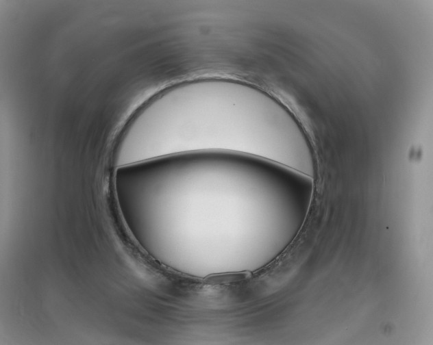X0000096950060200802080930