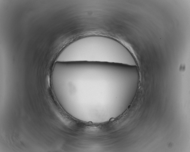 X0000096950061200802080930