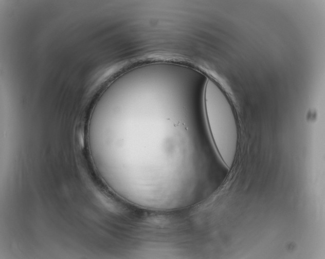 X0000096950062200802080930