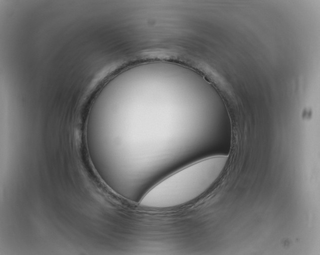 X0000096950064200802080930