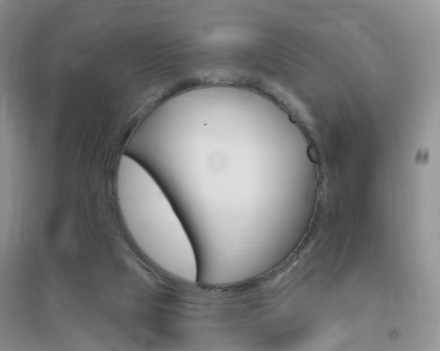 X0000096950065200802080930