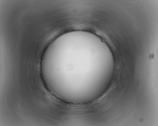 X0000096950066200802080930