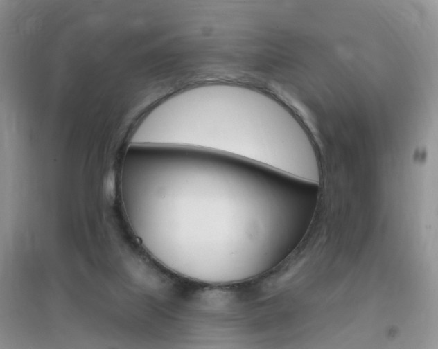 X0000096950067200802080930