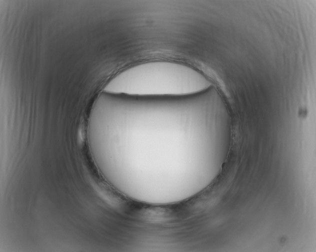 X0000096950069200802080930