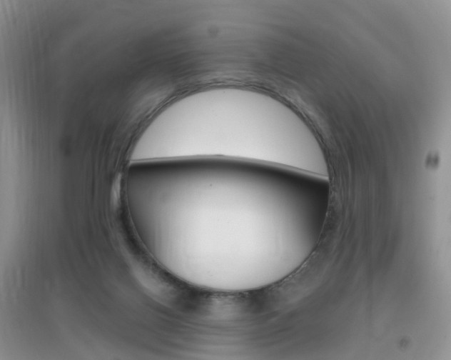 X0000096950070200802080930