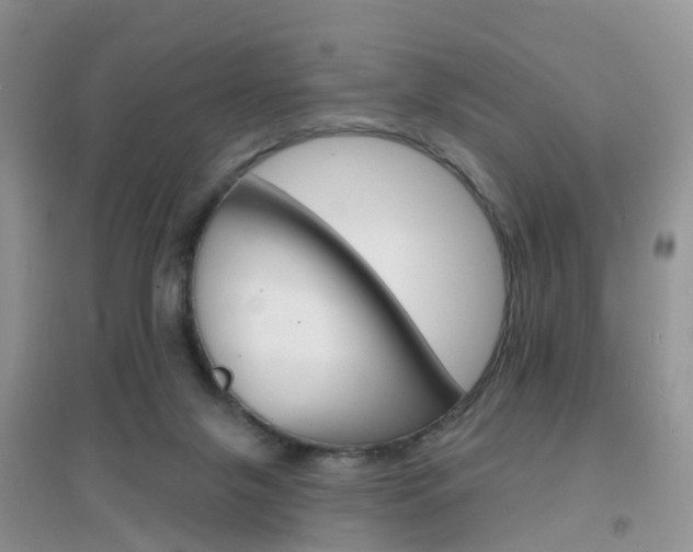 X0000096950071200802080930