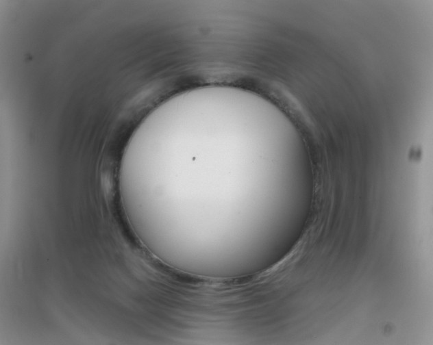 X0000096950074200802080930