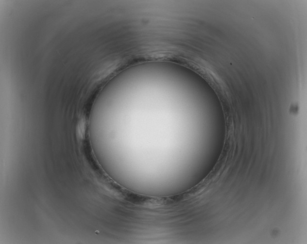 X0000096950076200802080930