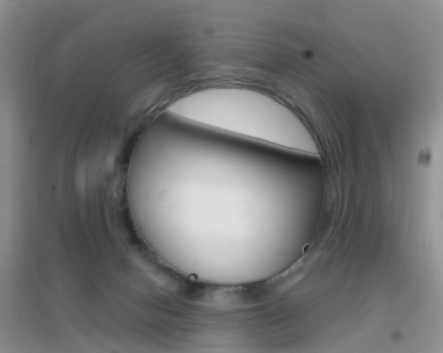 X0000096950078200802080930