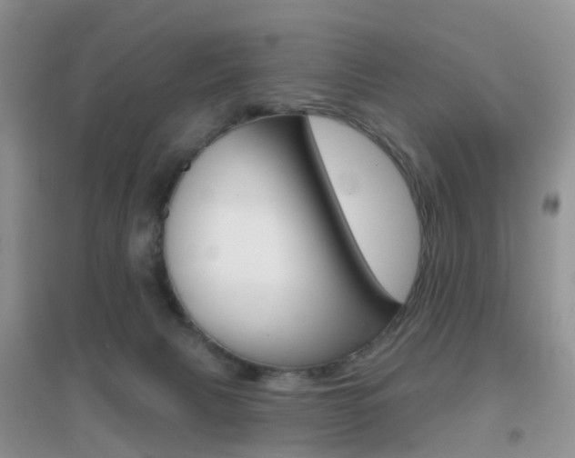 X0000096950079200802080930