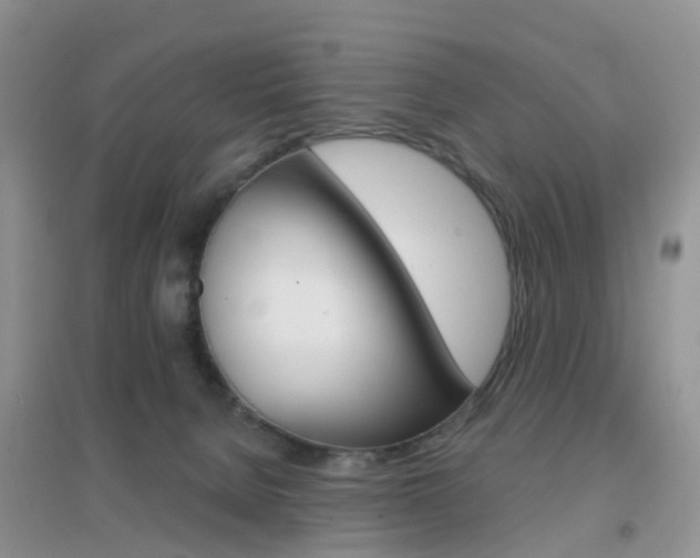 X0000096950080200802080930