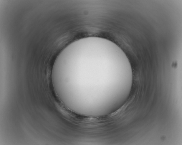 X0000096950082200802080930