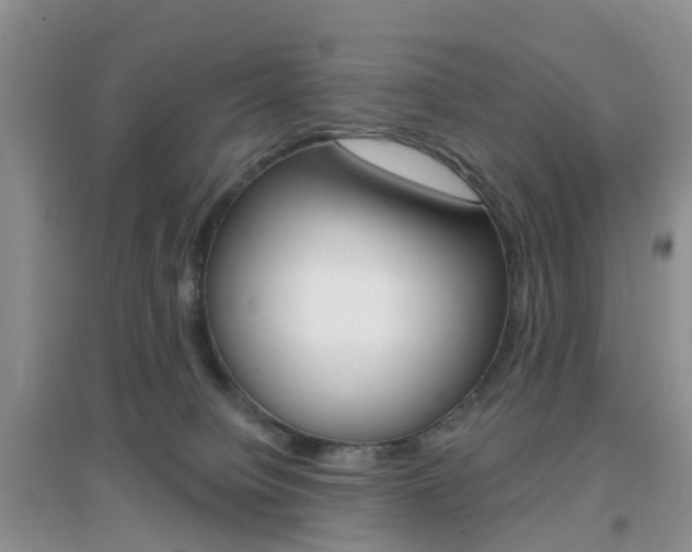 X0000096950084200802080930