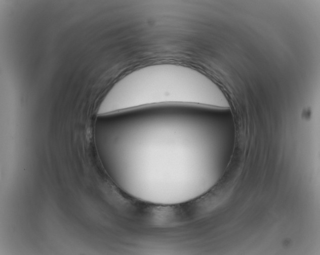 X0000096950085200802080930