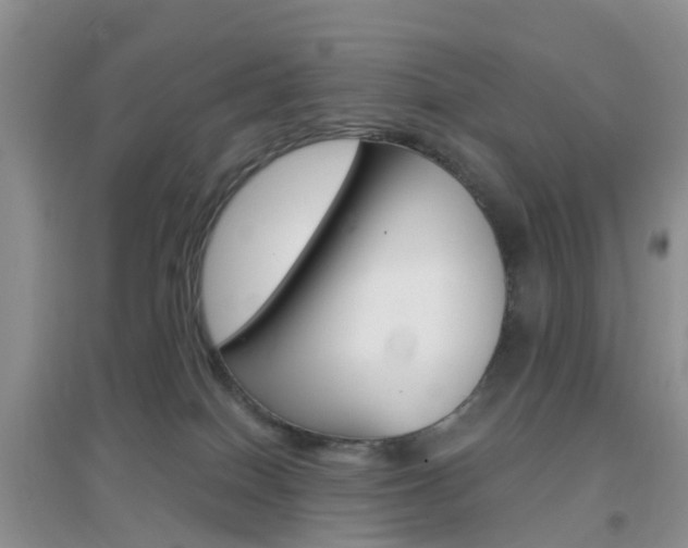 X0000096950086200802080930