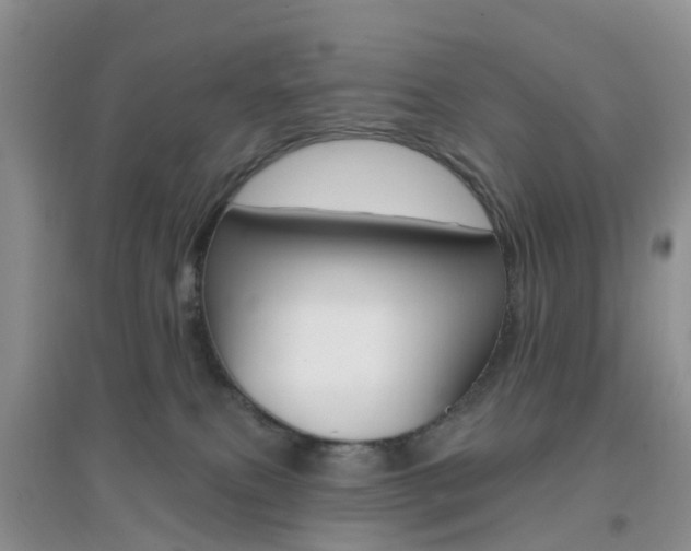 X0000096950087200802080930