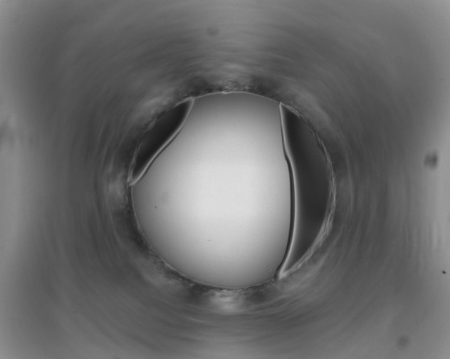 X0000096950088200802080930