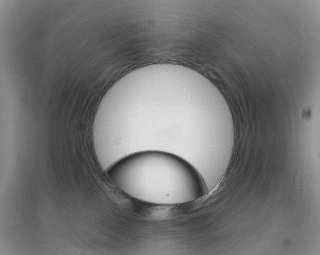 X0000096950090200802080930