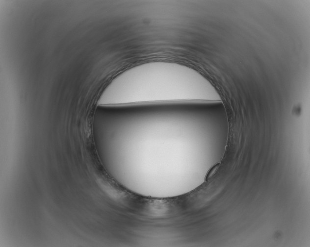 X0000096950091200802080930