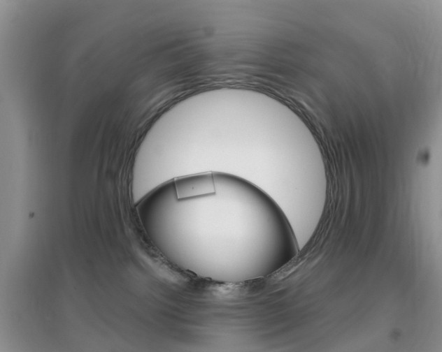X0000096950092200802080930