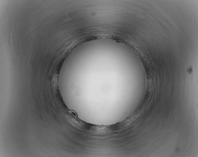 X0000096950093200802080930
