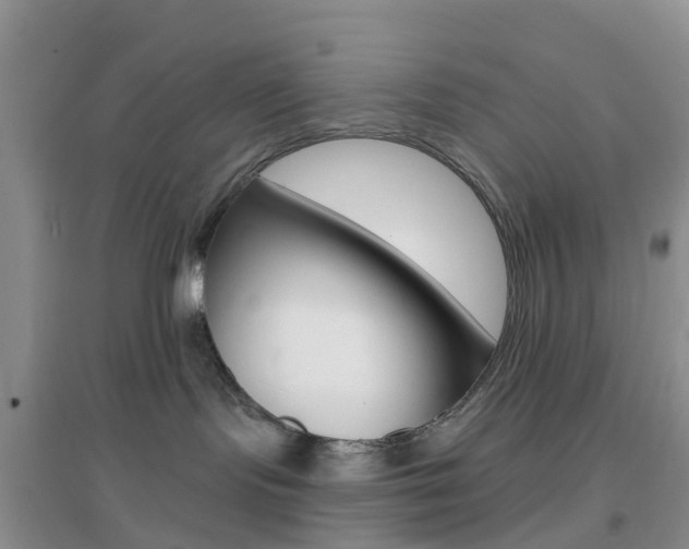 X0000096950095200802080930