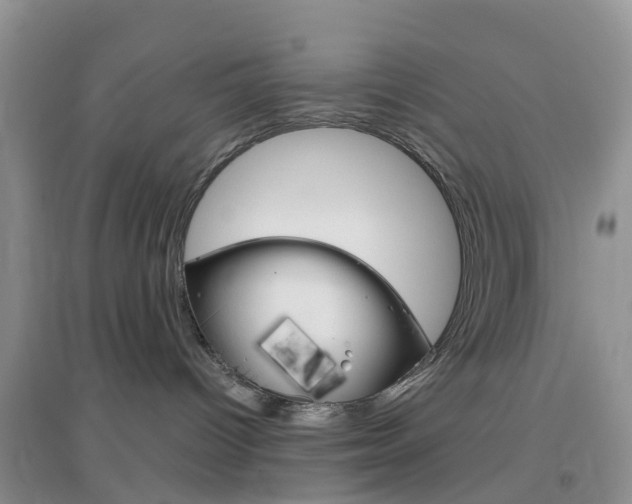 X0000096950096200802080930