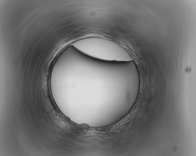 X0000096950098200802080929