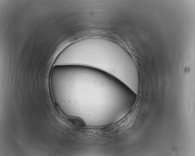 X0000096950099200802080929