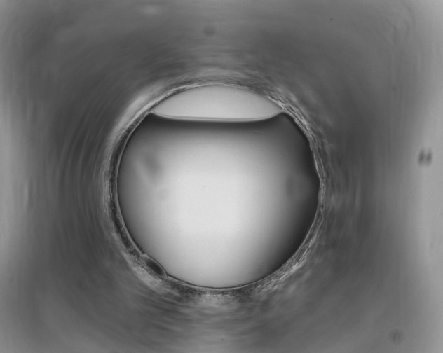 X0000096950101200802080929