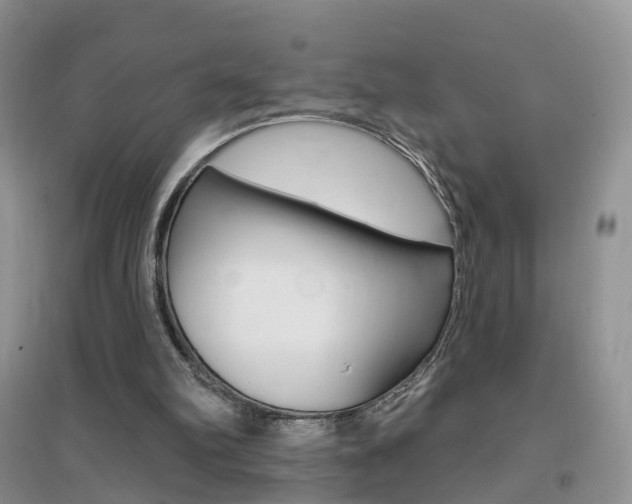 X0000096950102200802080929