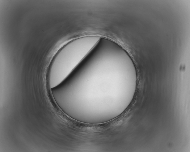 X0000096950103200802080929