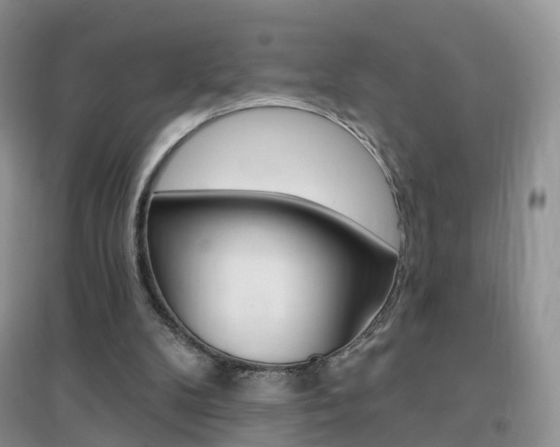 X0000096950104200802080929