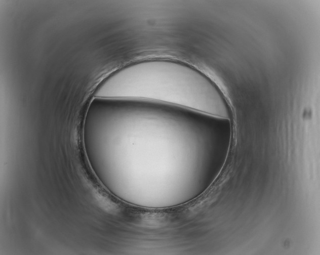 X0000096950105200802080929