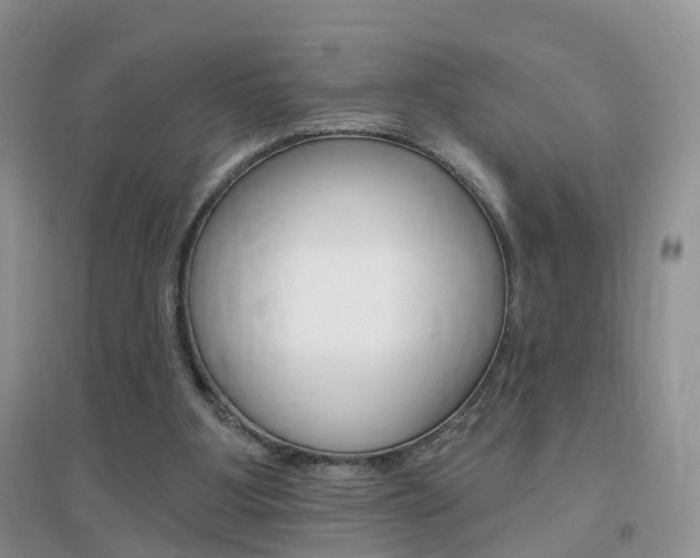 X0000096950107200802080929