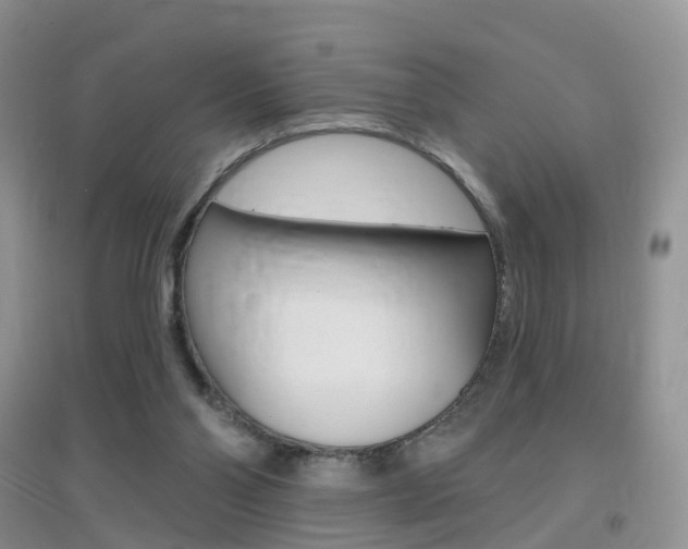 X0000096950110200802080929