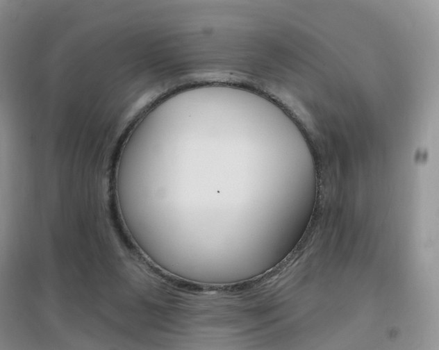 X0000096950111200802080929