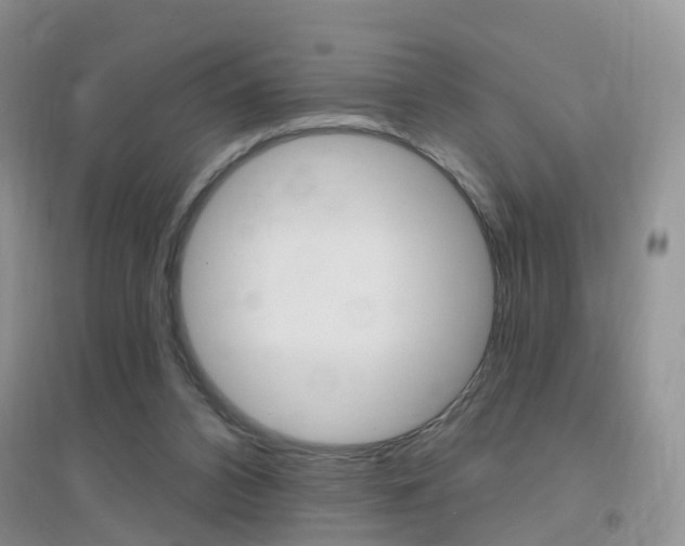 X0000096950112200802080929