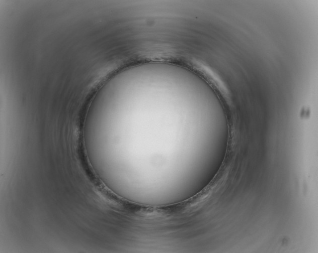 X0000096950113200802080929