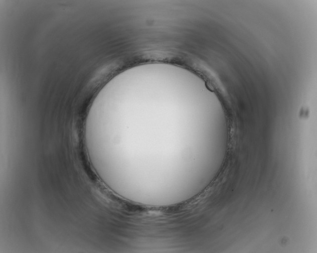 X0000096950114200802080929