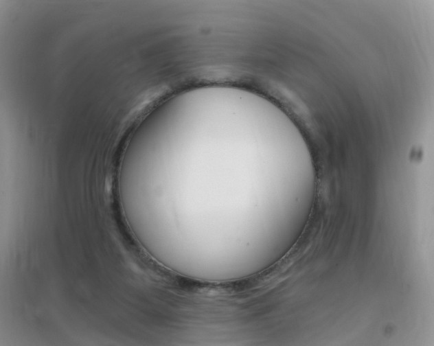 X0000096950115200802080929