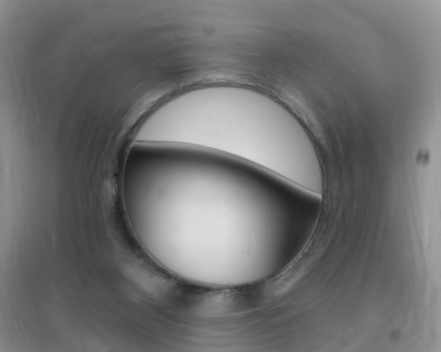 X0000096950116200802080929