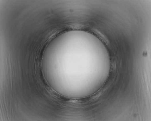 X0000096950117200802080929