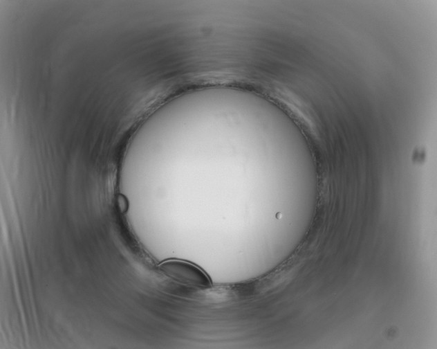 X0000096950118200802080929